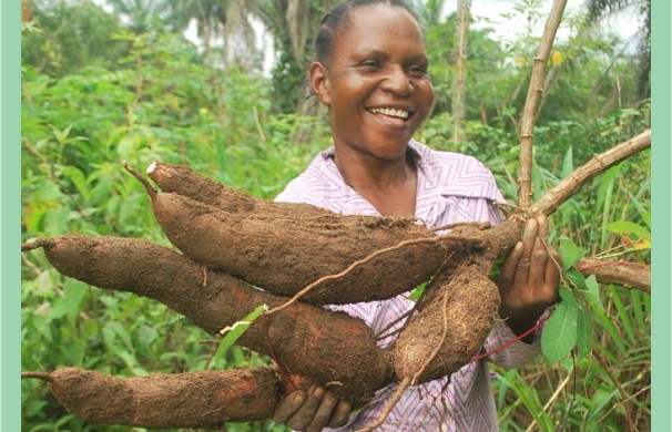 We empower our women through agricultural activities
